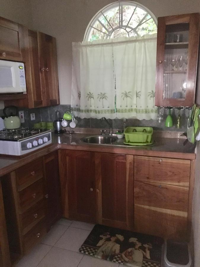 #D1 Castle Studio Wifi King Bed Ocho Rios Jamaica Dış mekan fotoğraf