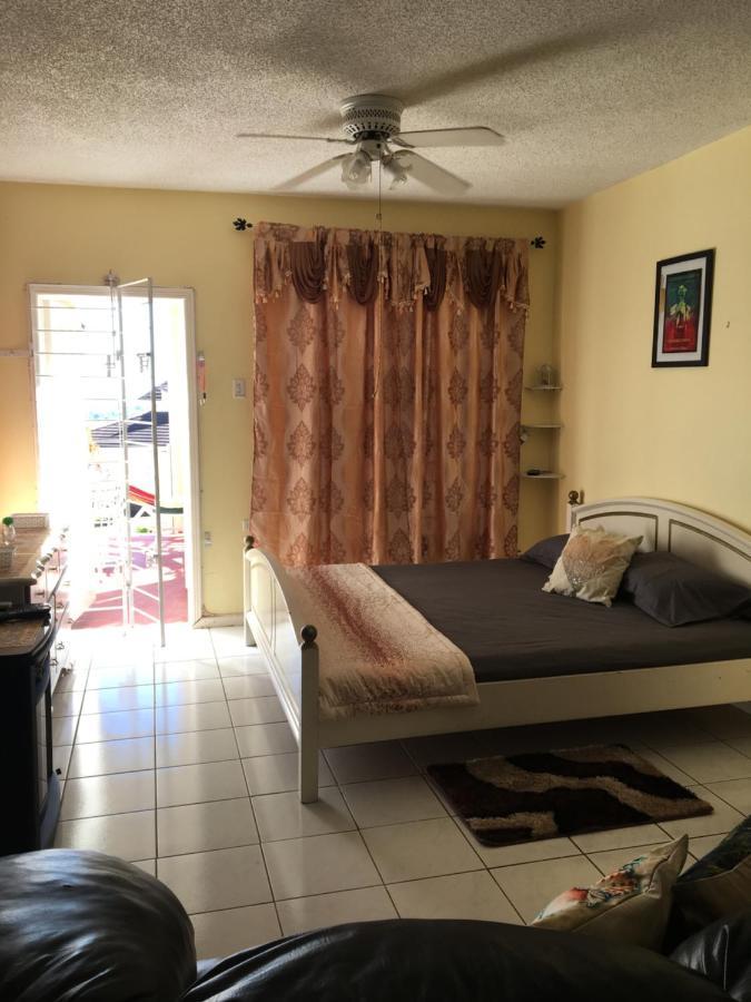 #D1 Castle Studio Wifi King Bed Ocho Rios Jamaica Dış mekan fotoğraf
