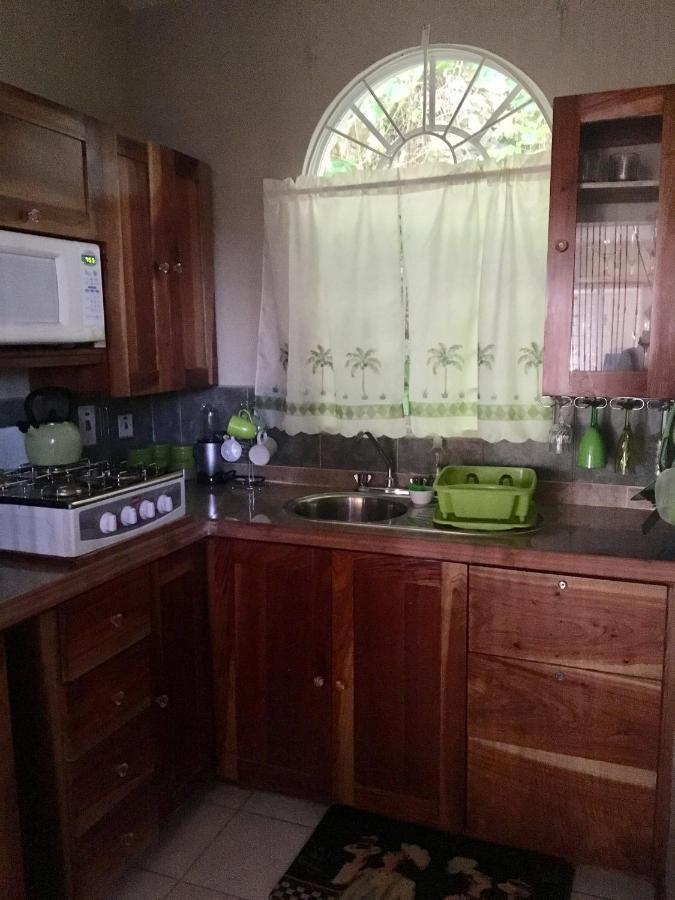 #D1 Castle Studio Wifi King Bed Ocho Rios Jamaica Dış mekan fotoğraf