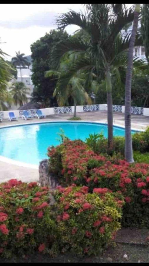 #D1 Castle Studio Wifi King Bed Ocho Rios Jamaica Dış mekan fotoğraf