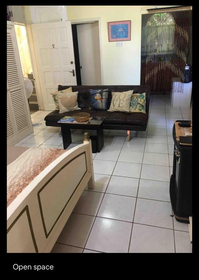 #D1 Castle Studio Wifi King Bed Ocho Rios Jamaica Dış mekan fotoğraf